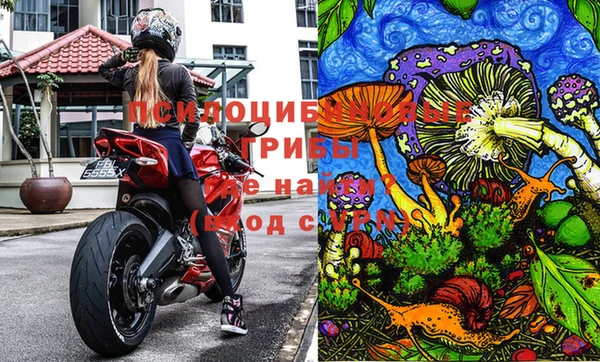 PSILOCYBIN Белоозёрский
