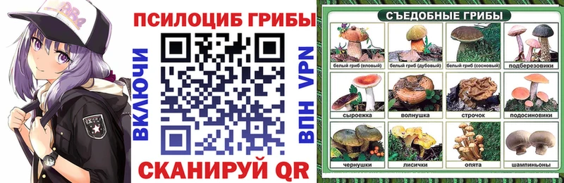 Псилоцибиновые грибы мухоморы  дарнет шоп  Кодинск 